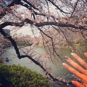 亚洲男同gv资源在线观看
